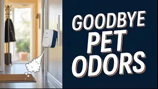 # 1 easy way to get rid of a pet oders with Clarifion ODRx