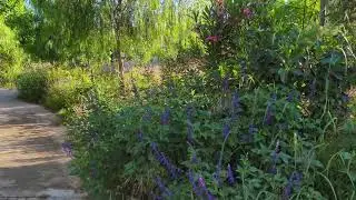 REALME GT7 camera video sample 8K 30fps