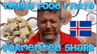 Trying Food I Hate #6:  Hakarl (Fermented Shark)