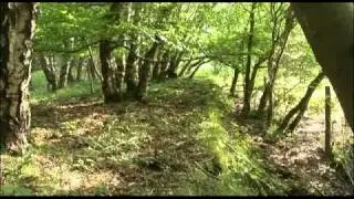 Lost Railways of the Forest of Dean - Severn & Wye.