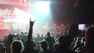 Olen Kaunis - Pelle Miljoona Band feat. Tumppi Varonen live at Pelle Miljoona 70 vuotta 