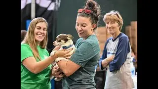 WAAL's Animal Care Collective Program