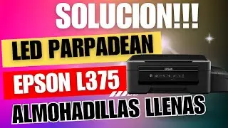 SOLUCION EPSON L375 Leds Parpadean intermitentes, almohadillas llenas RESET