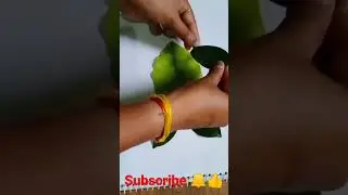 Making Fish with leaves// L.K.G,U.K.G ( j R teaching arts) # shorts Vedio 🐟