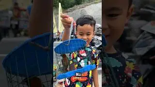 Beli Burung Emprit Murah