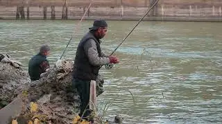Fishing - Free Stock Footage