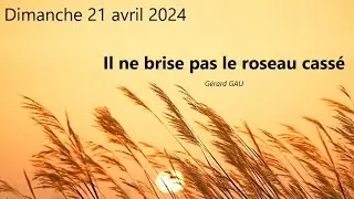Dimanche 21.04.2024 Il ne brise pas le roseau cassé (Gérard GAU)
