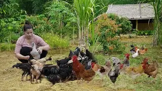 single mom takes care of animals on farm in rainforest, mountain farm daily life