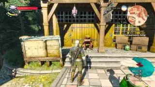 The Witcher 3: Where & how to reset ability points
