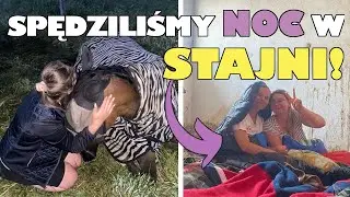 VLOG #200 |  SPĘDZILIŚMY NOC W STAJNI!