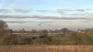 Andy K - T-Rex 700N - Spartan Vortex FBL - 2 - MK Heli Club