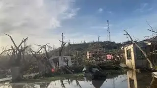 Запад — лучшее место, давайте прогуляемся по Вестморленду 🇯🇲