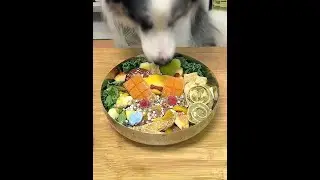 What to feed a 40-pound Border Collie for a meal | crispy goose throat #Border Collie #electronic s