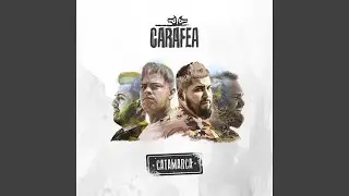 Cerrojos