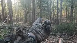 Adirondack Mts NY 2023 Turkey Season Day 6