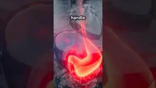 Razor Blades vs. Human Stomach: Can It Actually Dissolve Them? 🔬😱