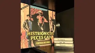 La minor&iacute;a que se hallaron