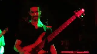 OK Goodnight - The Fox & the Bird LIVE The Middle East Upstairs