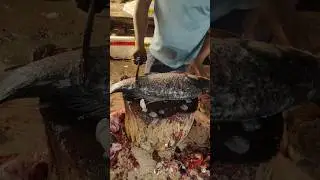 Amazing! Attractive Best Katla Fish Cutting Skills 😱 #shorts​ #youtube