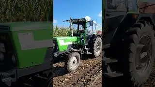 Maisballern wie fr&uuml;her!