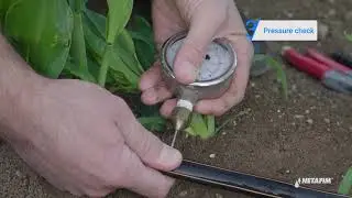 Drip Tips: How to measure dripline pressure | Netafim