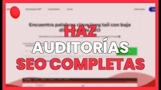 HAZ AUDITOR&Iacute;AS SEO COMPLETAS con las HERRAMIENTAS de MANGOOLS