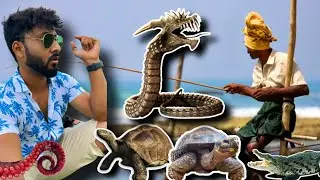 Illegal Fishing in Goa beaches | Fishing beaches in Goa | Sea food in Goa