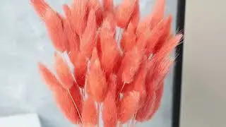 Why this vibrant bunny tail bouquet is the perfect pop of color for your home