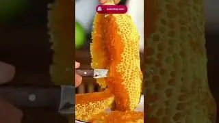 honey//pure Honey//honey harvesting //wild honey//natural honey//honey//honey comb//honey hunt