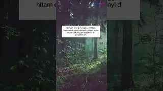 Viral! Drone Rekam Sosok Mirip Kuntilanak di Hutan