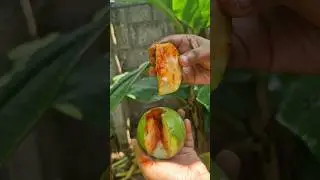 Guava Masala #guava #home #guavamasala  #masala #perakka #foodie #shortsvideo #trendingshorts #short