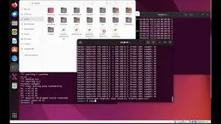 DoS attack Execution and Detection with Machine Learning in SDN