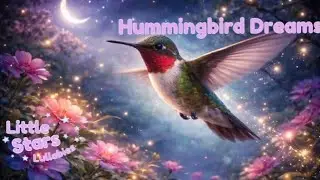 Hummingbird Dreams | Gentle Piano  Instrumental Lullaby for Sleep & Calm 