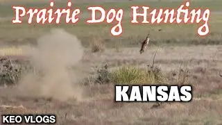 Prairie Dog Hunting Kansas