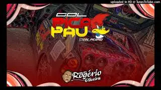 21 ELETROFUNK 2026 - GOL PICA PAU - DJ ROG&Eacute;RIO OLIVEIRA