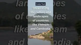 Mekong River Cruise #travel #vacation #shorts #escape #adventure #explore #facts #nature #vietnam