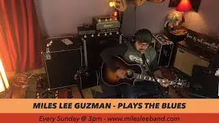 Miles Lee Plays The Blues