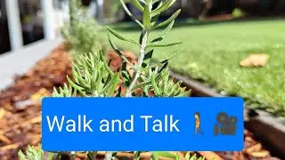 Walk and Talk through a large synthetic turf and landscaping project | 🌿🪨 #landscape #school #turf