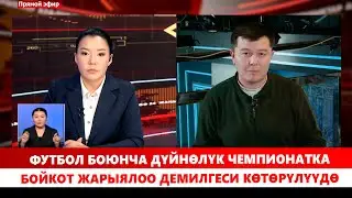 Футбол боюнча дүйнөлүк чемпионатка бойкот жарыялоо демилгеси көтөрүлүүдө
