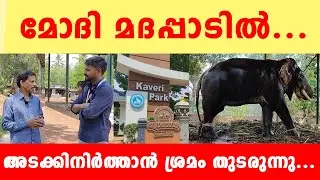 മോദി മദപ്പാടിൽ അടക്കിനിർത്താൻ ശ്രമം തുടരുന്നു...!| ABC MALAYALAM |