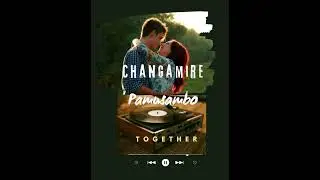 Changamire Pamusambo _-_Together (official audio 2024)