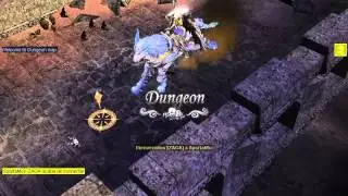 Pet MuOnline