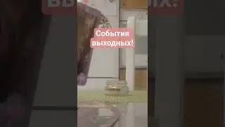 События выходных!☀️🏡⏰
