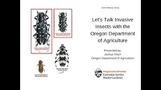 Let's Talk Invasive Insects with the Oregon Department of Agriculture