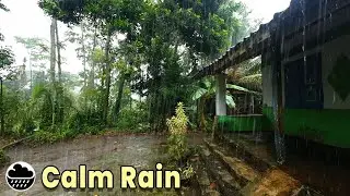 🌧️ Fall Asleep Fast with this Village Relaxing Rain Sounds | ASMR for Sleeping