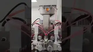 How  SEM-120 servo softgel encapsulation machine looks like?