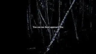 trees