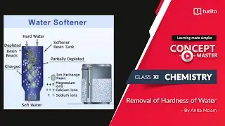 Turito - Concept Master - Grade 11 - Chemistry - Removal of Hardness of Water - Anita Ma'am