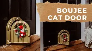 The Cutest Cat Door from Amazon | Valentine&rsquo;s Day Decorated Cat Door