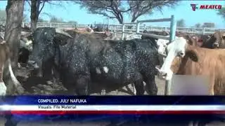 MAWLR to carry out awareness campaign on livestock identifying and branding- nbc